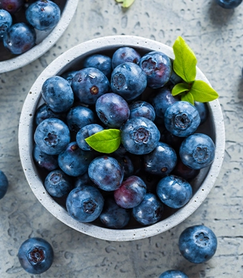 Fresh ripe blueberries ready for distribution.