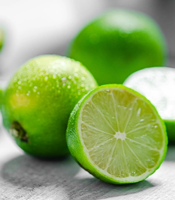 Fresh Persian limes harvested for export.